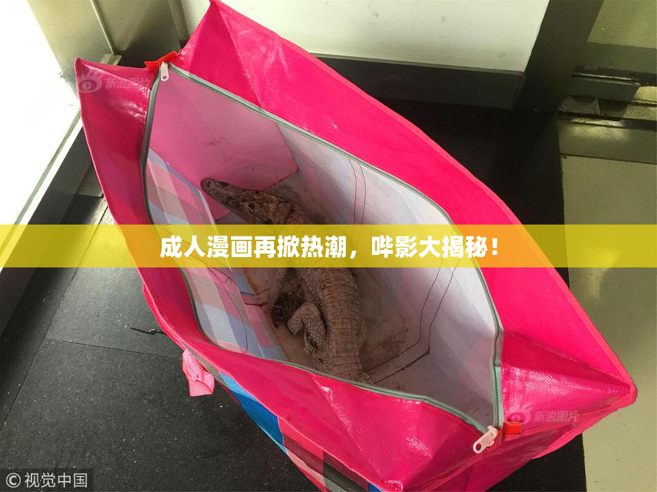 成人漫画再掀热潮，哔影大揭秘！