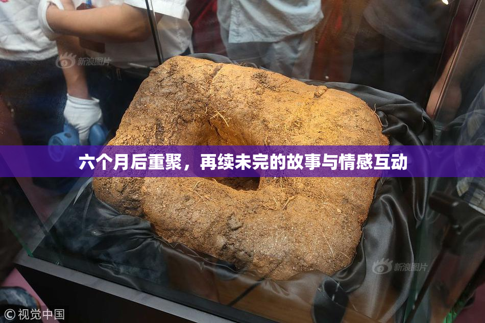 六个月后重聚，再续未完的故事与情感互动