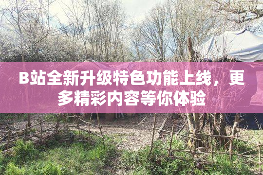 B站全新升级特色功能上线，更多精彩内容等你体验