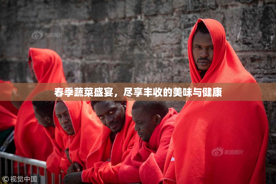 春季蔬菜盛宴，尽享丰收的美味与健康