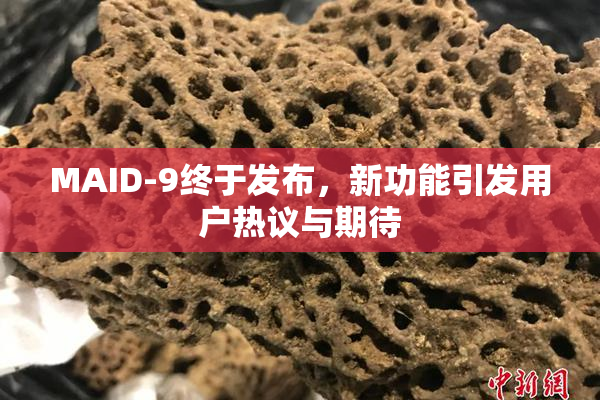 MAID-9终于发布，新功能引发用户热议与期待