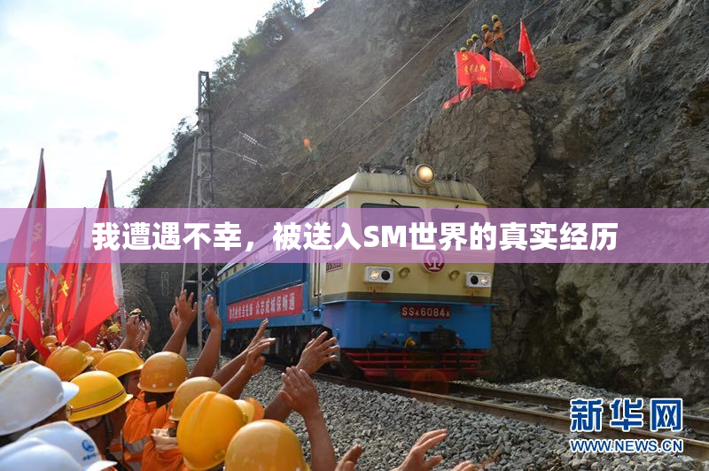 我遭遇不幸，被送入SM世界的真实经历
