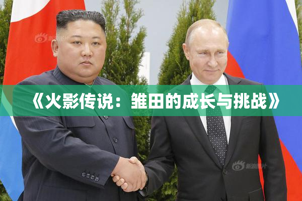 《火影传说：雏田的成长与挑战》