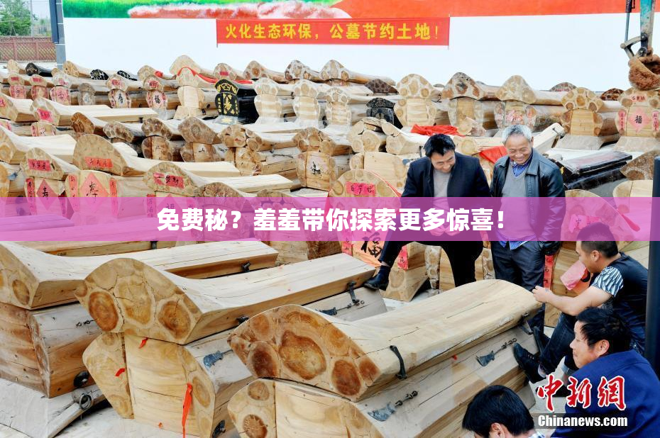 免费秘？羞羞带你探索更多惊喜！
