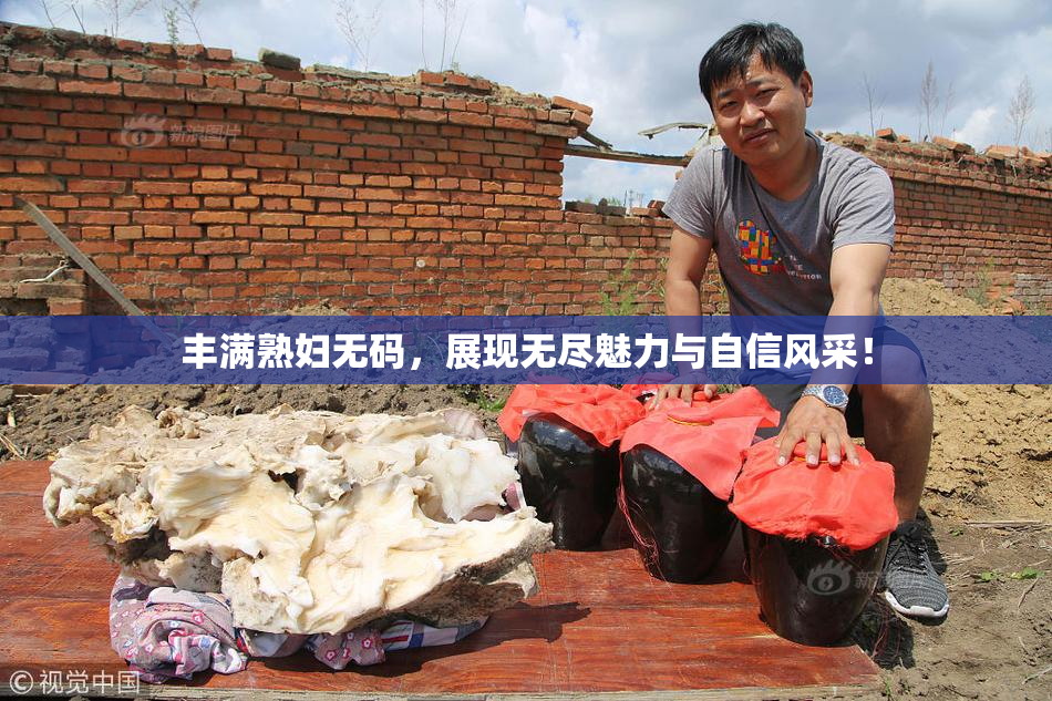 丰满熟妇无码，展现无尽魅力与自信风采！