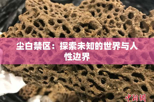 尘白禁区：探索未知的世界与人性边界