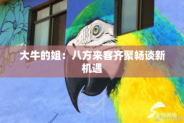 大牛的姐：八方来客齐聚畅谈新机遇