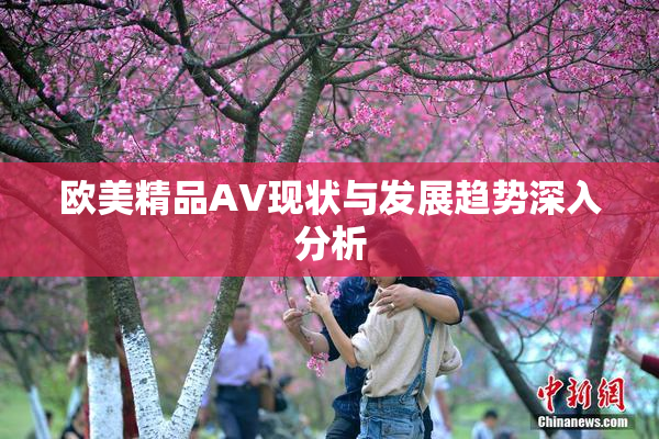 欧美精品AV现状与发展趋势深入分析
