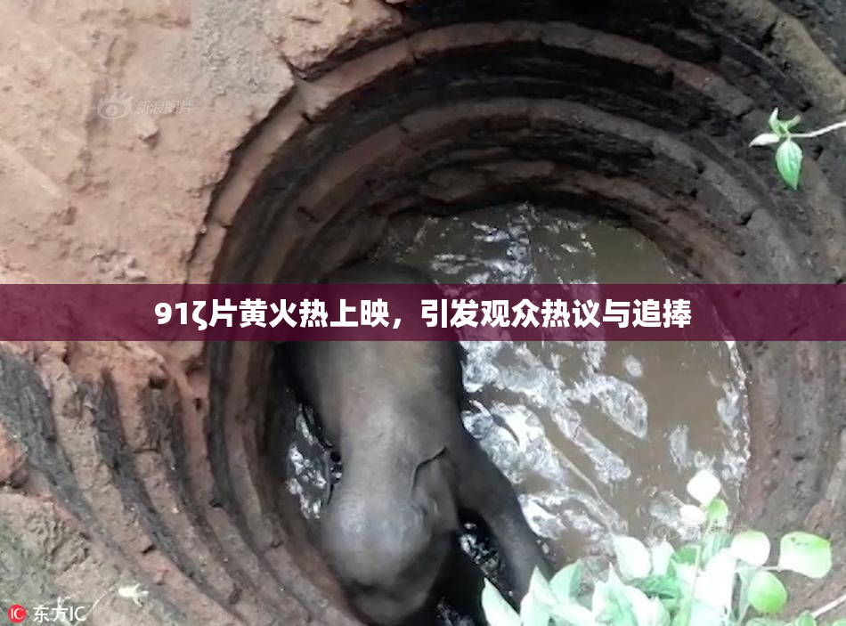91ζ片黄火热上映，引发观众热议与追捧