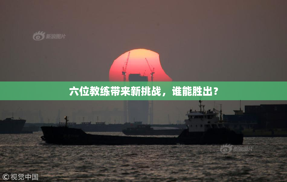六位教练带来新挑战，谁能胜出？