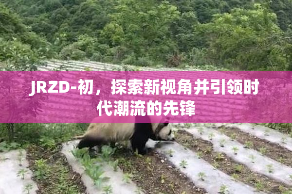 JRZD-初，探索新视角并引领时代潮流的先锋