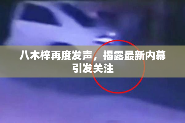 八木梓再度发声，揭露最新内幕引发关注