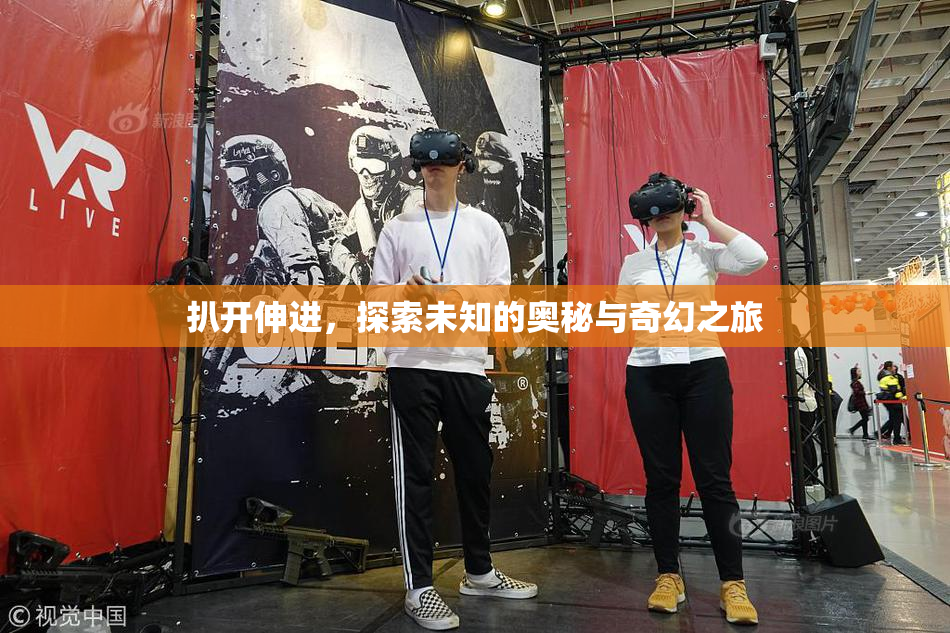 扒开伸进，探索未知的奥秘与奇幻之旅