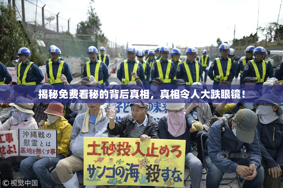 揭秘免费看秘的背后真相，真相令人大跌眼镜！