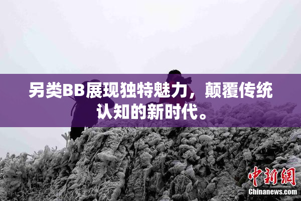 另类BB展现独特魅力，颠覆传统认知的新时代。