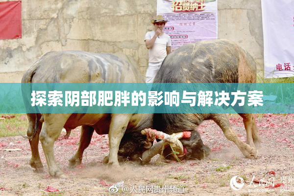探索阴部肥胖的影响与解决方案