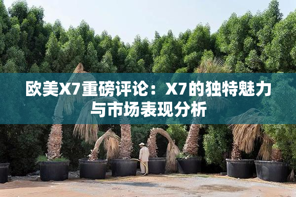 欧美X7重磅评论：X7的独特魅力与市场表现分析