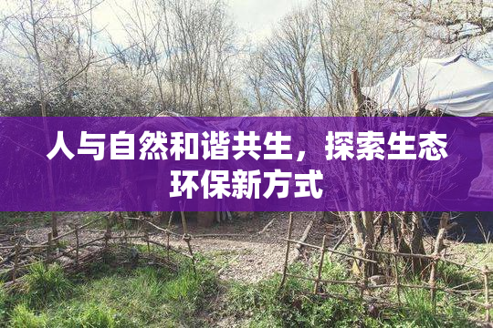 人与自然和谐共生，探索生态环保新方式