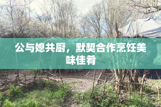 公与媳共厨，默契合作烹饪美味佳肴