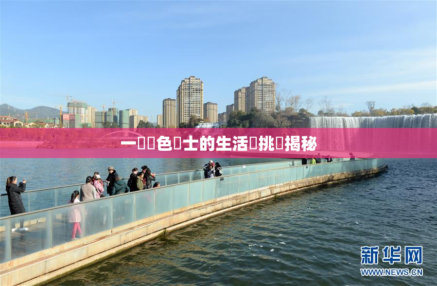 一級黃色護士的生活與挑戰揭秘