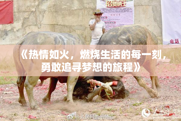 《热情如火，燃烧生活的每一刻，勇敢追寻梦想的旅程》