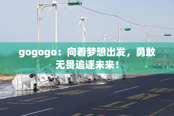 gogogo：向着梦想出发，勇敢无畏追逐未来！
