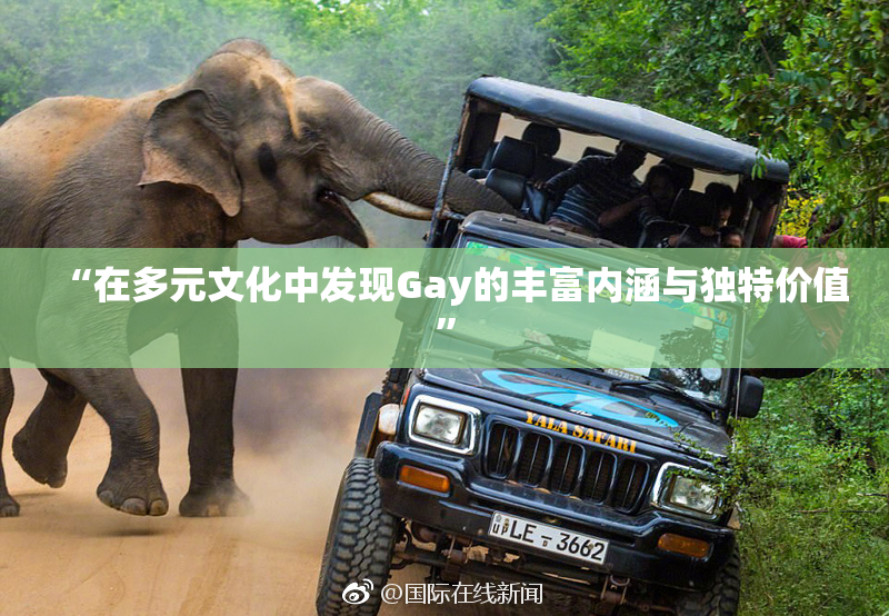 “在多元文化中发现Gay的丰富内涵与独特价值”