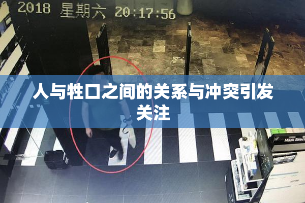人与牲口之间的关系与冲突引发关注