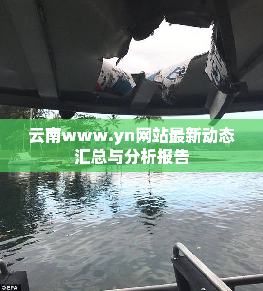 云南www.yn网站最新动态汇总与分析报告