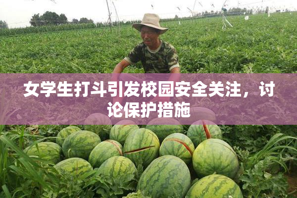女学生打斗引发校园安全关注，讨论保护措施