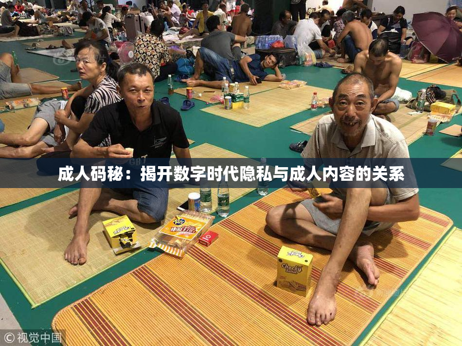 成人码秘：揭开数字时代隐私与成人内容的关系