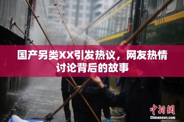 国产另类XX引发热议，网友热情讨论背后的故事