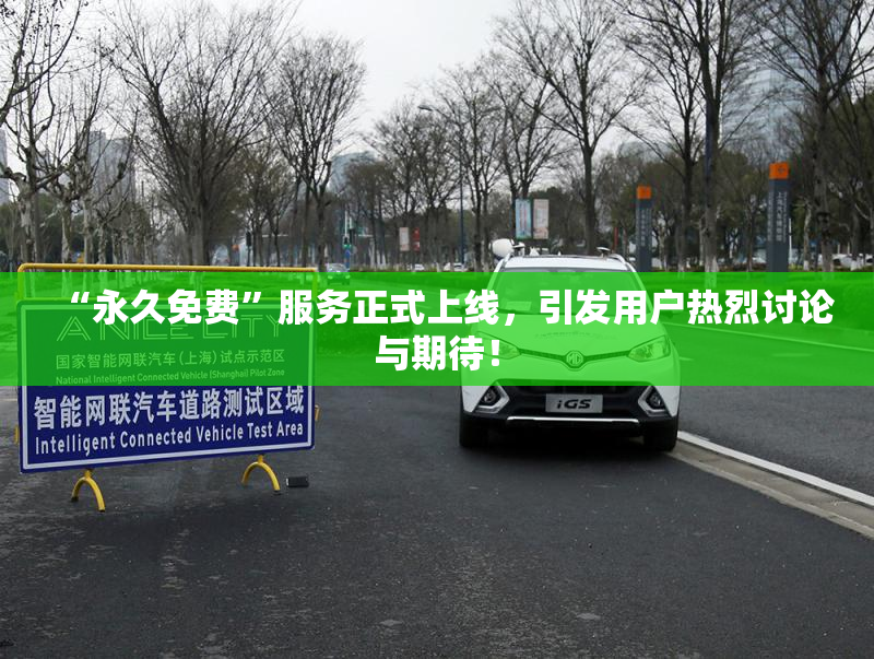 “永久免费”服务正式上线，引发用户热烈讨论与期待！