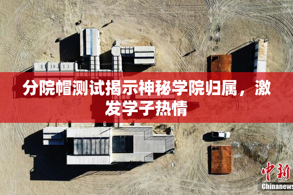 分院帽测试揭示神秘学院归属，激发学子热情
