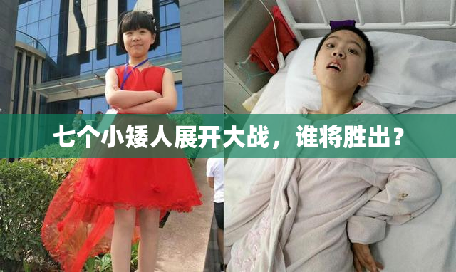 七个小矮人展开大战，谁将胜出？