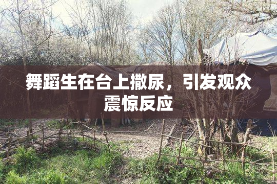 舞蹈生在台上撒尿，引发观众震惊反应