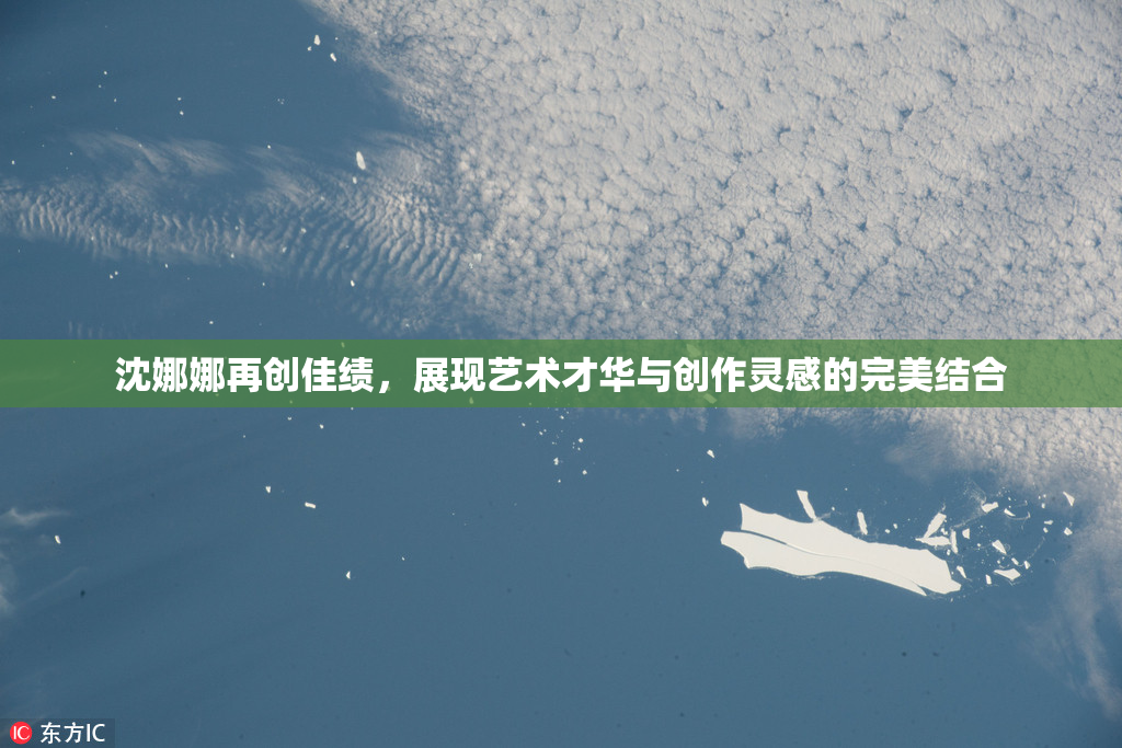 沈娜娜再创佳绩，展现艺术才华与创作灵感的完美结合
