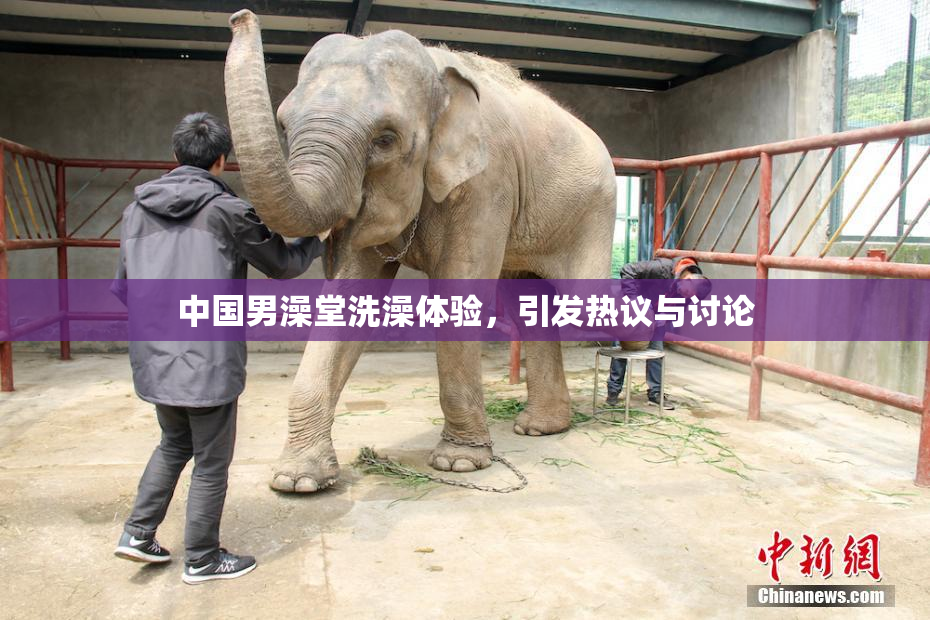 中国男澡堂洗澡体验，引发热议与讨论