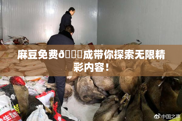 麻豆免费🔞成带你探索无限精彩内容！