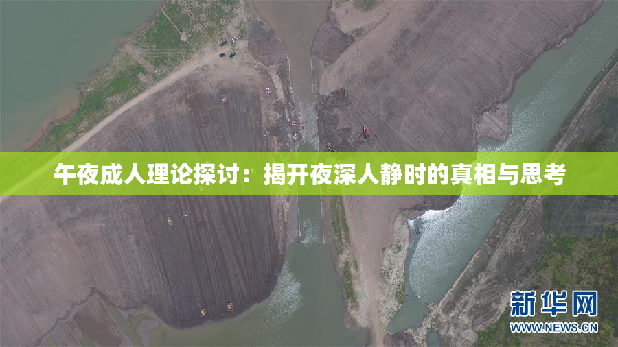 午夜成人理论探讨：揭开夜深人静时的真相与思考