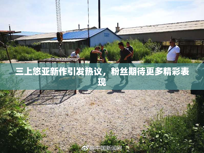 三上悠亚新作引发热议，粉丝期待更多精彩表现