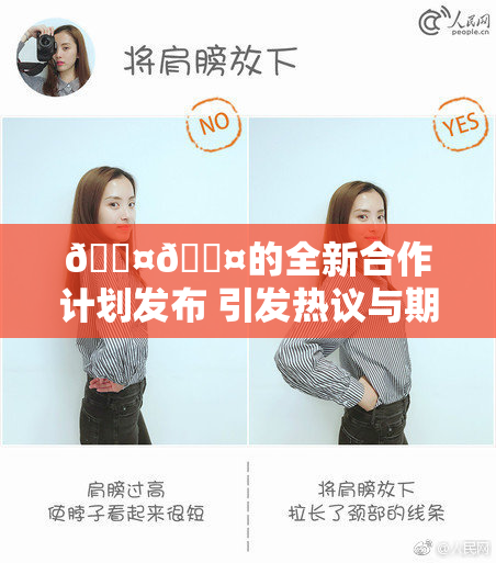 🐤🐤的全新合作计划发布 引发热议与期待