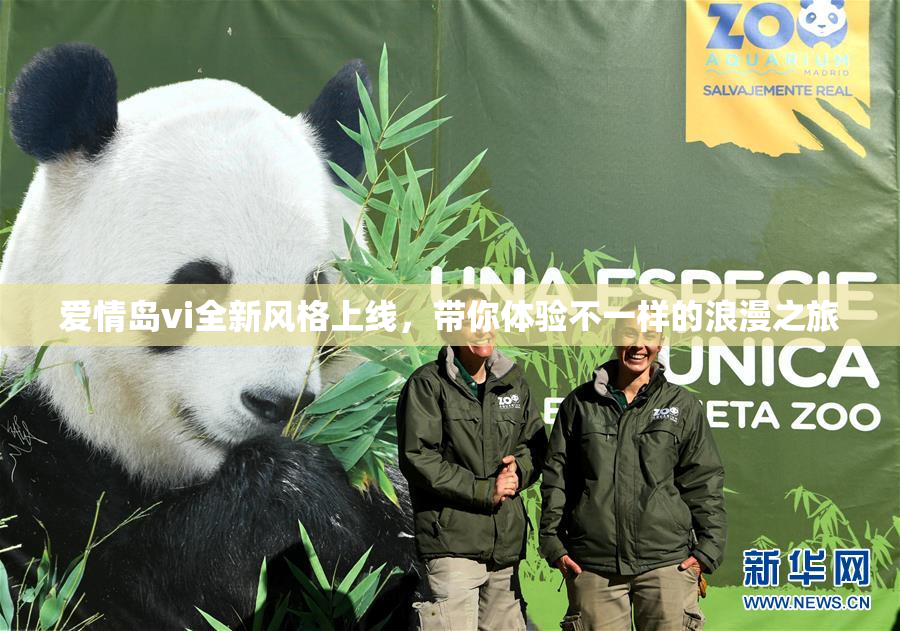 爱情岛vi全新风格上线，带你体验不一样的浪漫之旅
