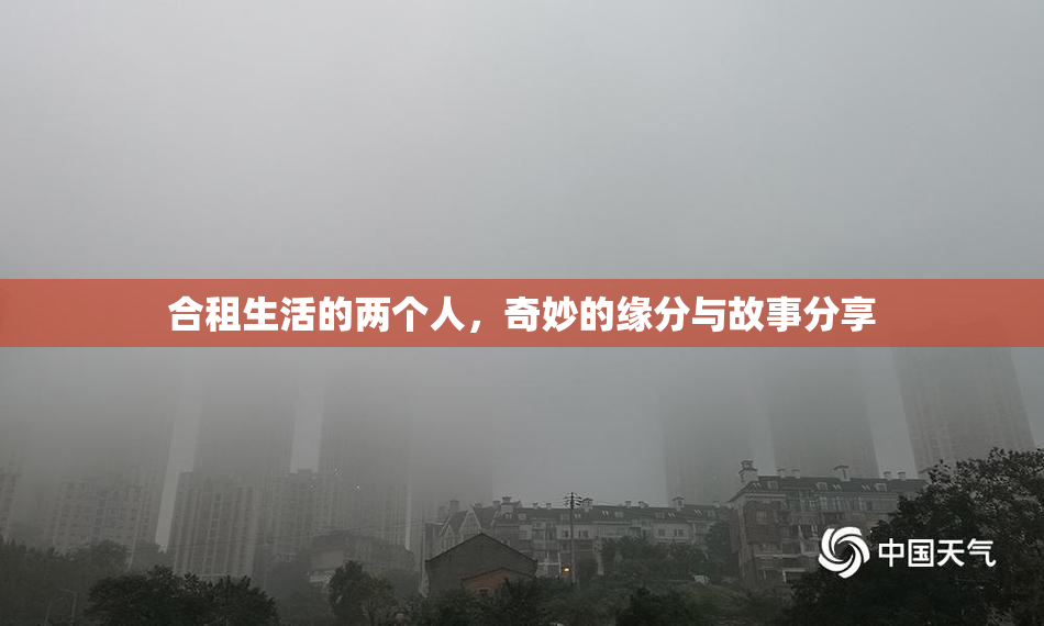 合租生活的两个人，奇妙的缘分与故事分享