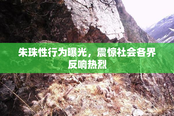 朱珠性行为曝光，震惊社会各界反响热烈