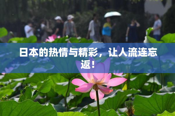 日本的热情与精彩，让人流连忘返！