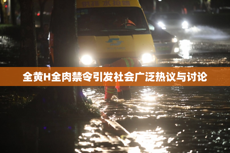 全黄H全肉禁令引发社会广泛热议与讨论