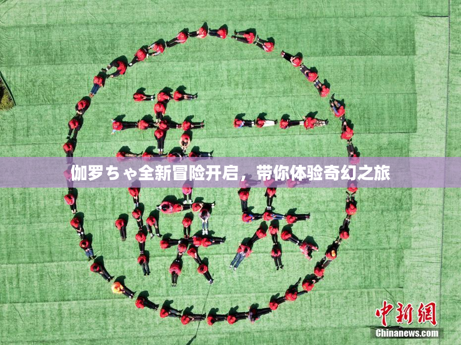 伽罗ちゃ全新冒险开启，带你体验奇幻之旅