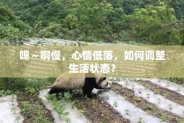 嗯～啊慢，心情低落，如何调整生活状态？