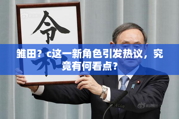 雏田？c这一新角色引发热议，究竟有何看点？